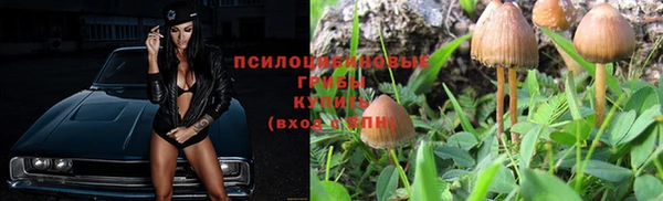 мяу мяу мука Абинск