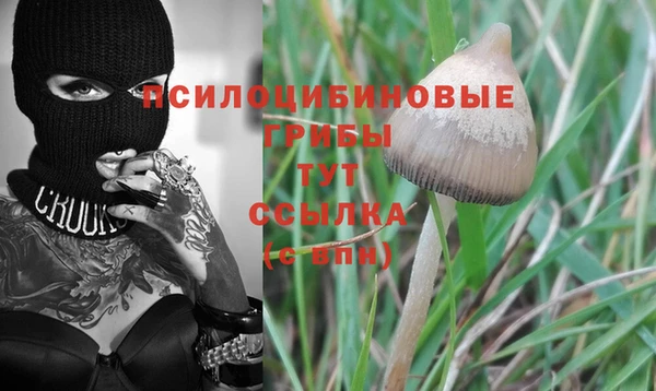 прущая мука Абаза