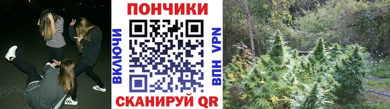 Конопля AK-47  Александровск-Сахалинский 